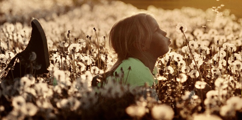 young girl in field of dandelions