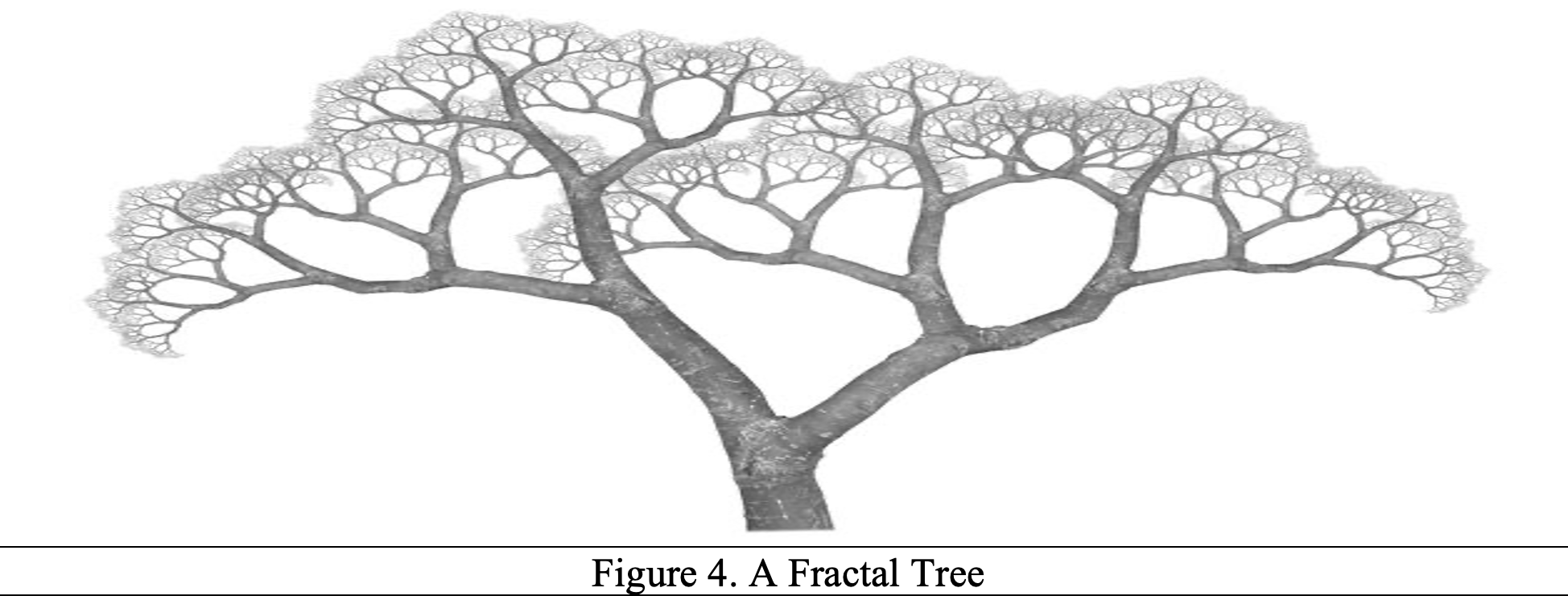 A Fractal Tree