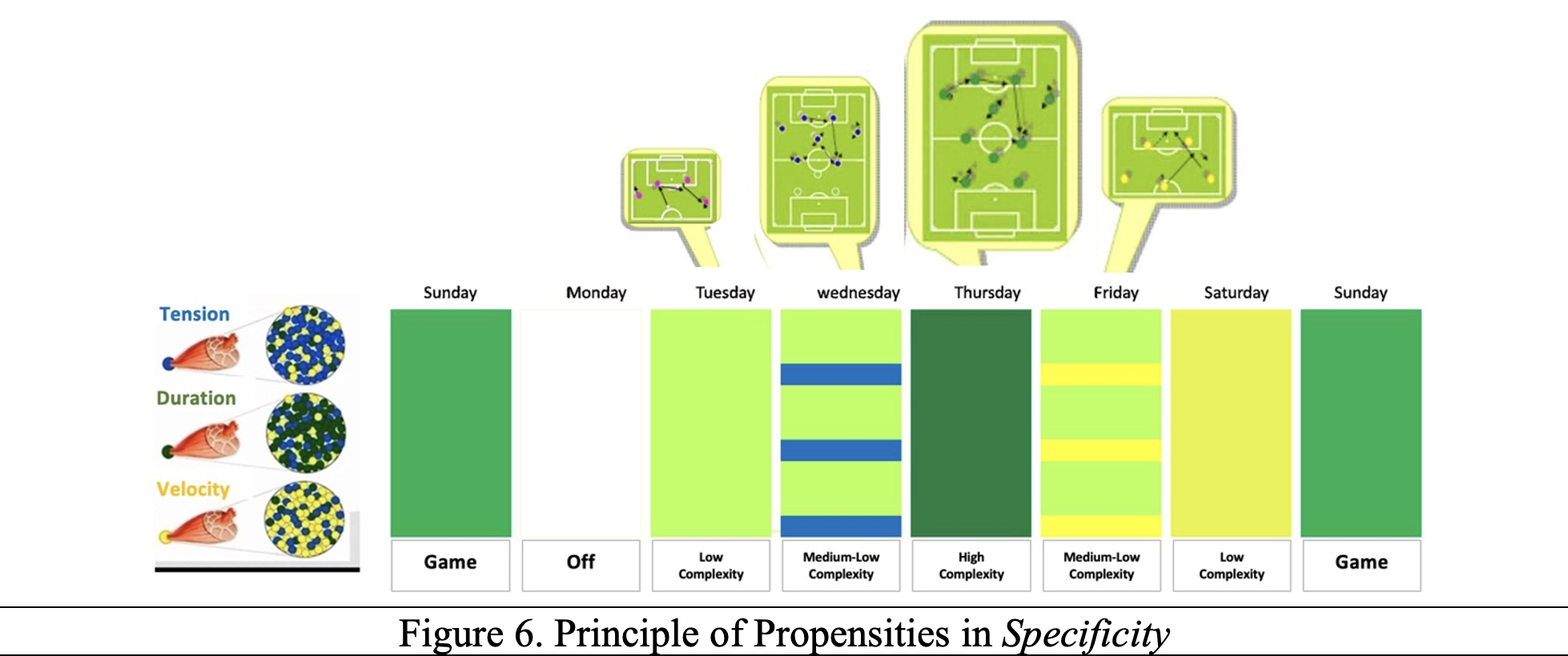 Principle of Propensities in Specificity