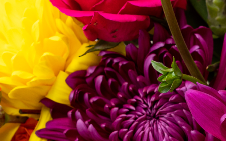 flowers