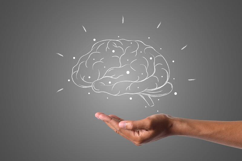 An image of a brain hovers of a hand